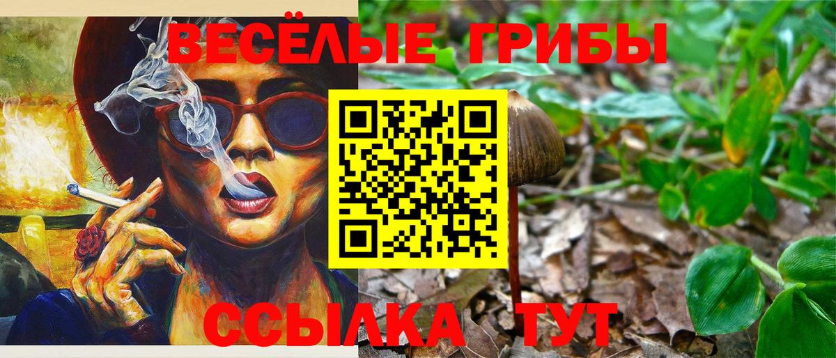 Минусинск  Галлюциногенные грибы Cubensis  Вход с VPN 
