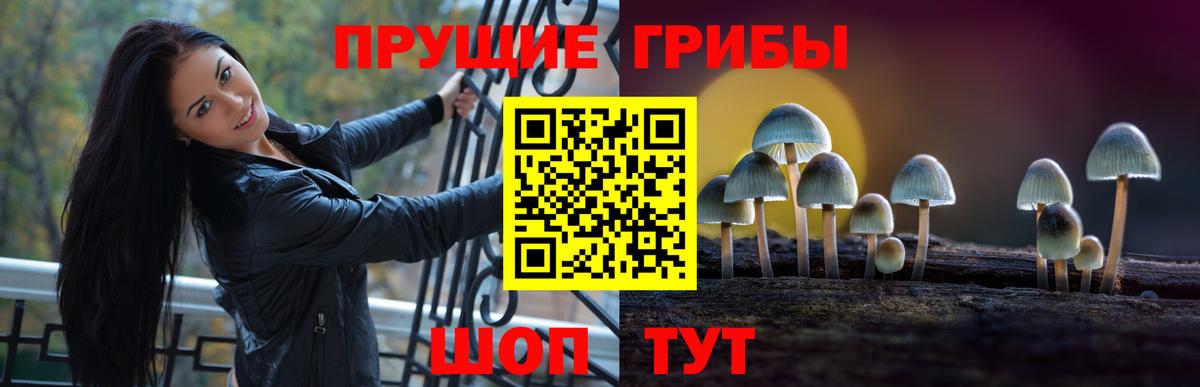 Галлюциногенные грибы Cubensis Минусинск